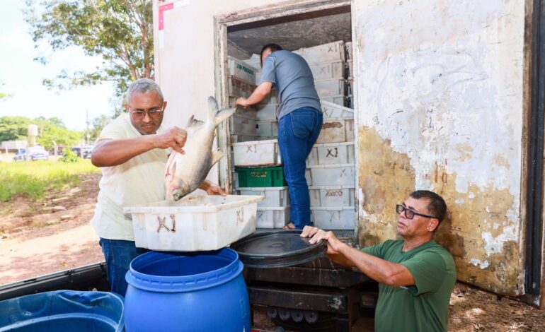 empresa-e-multada-em-mais-de-r$-104-mil-por-transportar-cinco-toneladas-de-peixes-sem-nota-fiscal