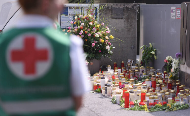 mesmo-com-muitas-armas,-austria-tem-pouca-violencia-e,-agora,-novas-questoes