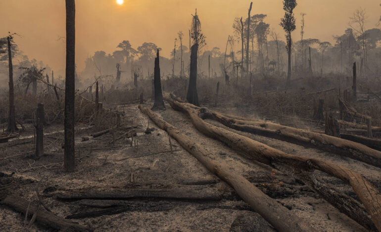 seca,-mudanca-climatica-e-diplomacia-cientifica:-uma-resposta-coletiva-da-america-latina