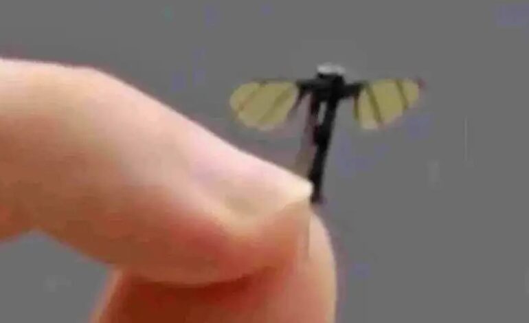 do-tamanho-de-uma-mosca:-o-novo-drone-militar-da-china