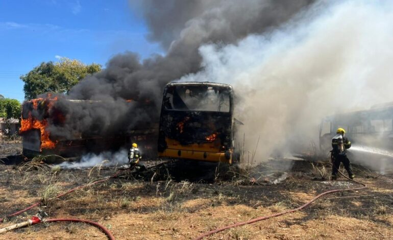 fogo-em-vegetacao-se-espalha-e-destroi-sucatas-de-onibus-em-palmas