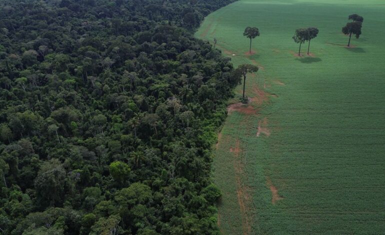 brics:-financiamento-climatico-e-responsabilidade-de-paises-ricos