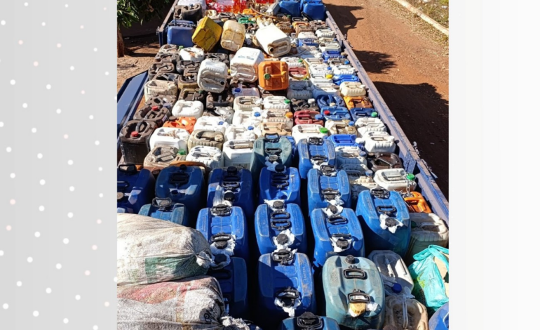 policia-investiga-venda-clandestina-de-combustiveis-e-furto-de-gado-em-araguatins