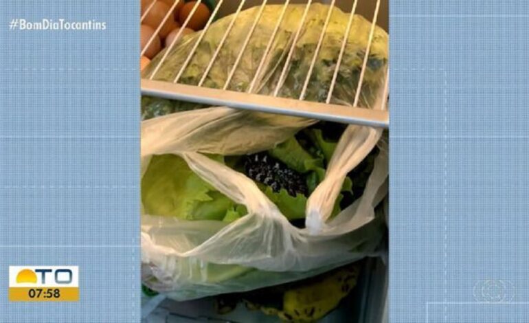 morador-encontra-serpente-em-pe-de-alface-que-estava-dentro-da-geladeira:-‘susto-imenso’