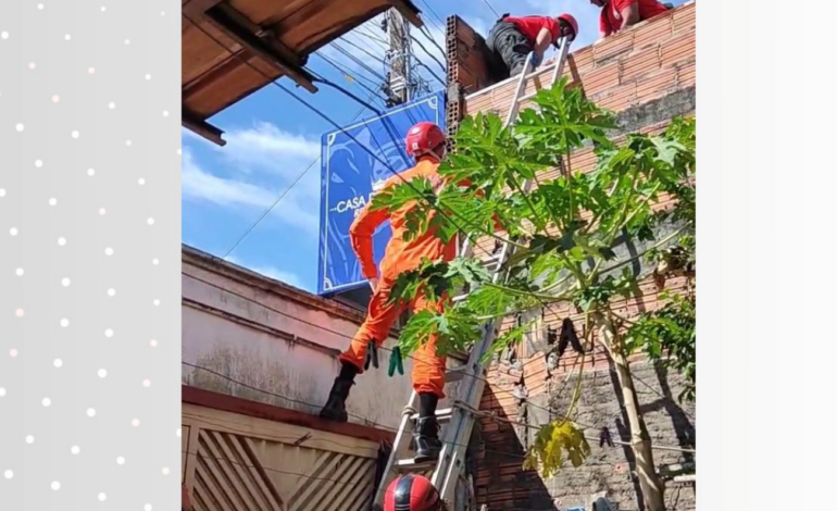video:-homem-leva-choque-eletrico-enquanto-estava-em-telhado-de-acougue,-dizem-bombeiros