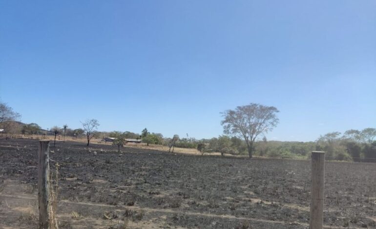 suspeito-de-incendio-criminoso-e-preso-em-flagrante-e-multado-em-r$-459-mil,-diz-pm