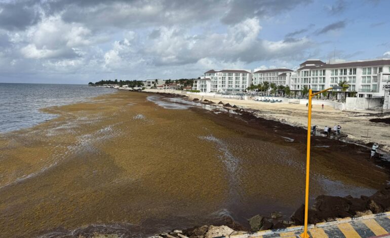 sargaco-pode-ser-oportunidade-para-a-economia-azul-no-grande-caribe