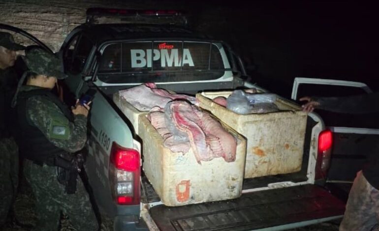 quase-350-kg-de-pirarucu-sao-flagrados-com-homens-perto-de-reserva-indigena-no-tocantins