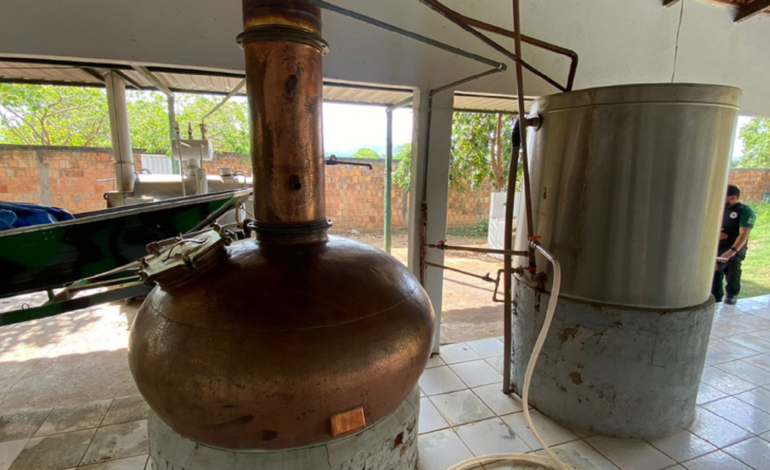 operacao-em-fabricas-clandestinas-apreende-11-mil-litros-de-cachaca-e-destilados;-veja-imagens