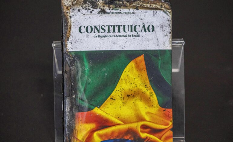 sociedade-civil-pede-ao-senado-rigor-na-analise-do-pl-da-dosimetria