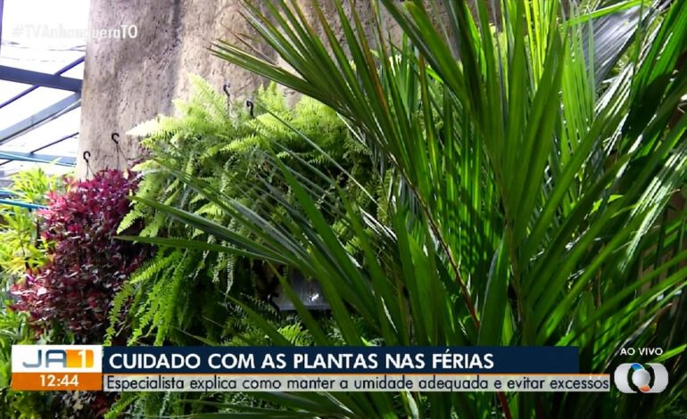 videos:-jornal-anhanguera-1a-edicao-–-to-de-segunda-feira,-15-de-dezembro-de-2025