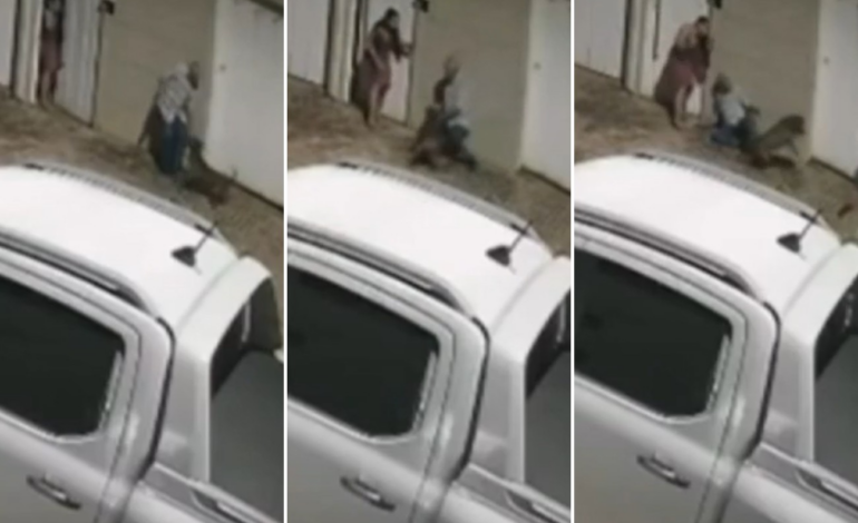 veja-o-que-se-sabe-sobre-ataque-de-pitbull-que-deixou-idoso-gravemente-ferido-em-palmas