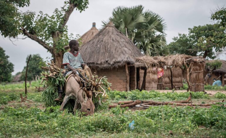 regioes-pobres-da-africa-sao-mais-solitarias-do-que-paises-ricos,-diz-pesquisa