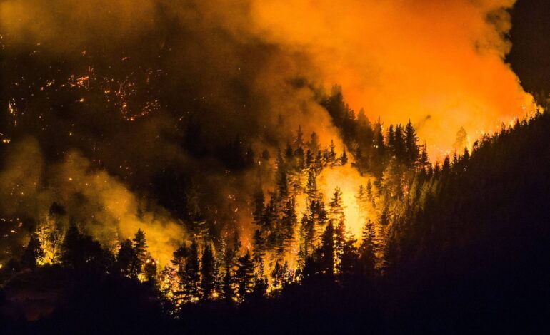pelo-menos-3.000-turistas-sao-retirados-devido-a-incendios-florestais-na-argentina;-veja-video