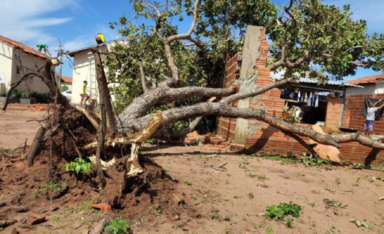 prefeitura-decreta-situacao-de-emergencia-apos-temporal-danificar-casas-na-regiao-sul-de-palmas