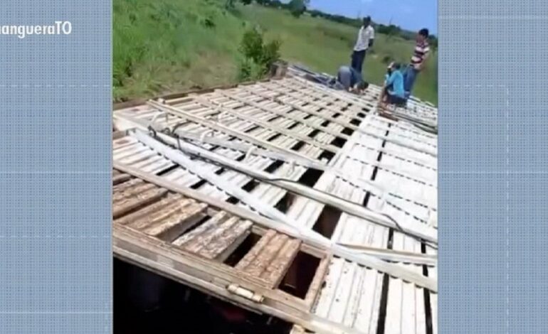 caminhao-carregado-com-mais-de-80-cabecas-de-gado-tomba-em-trecho-da-to-222