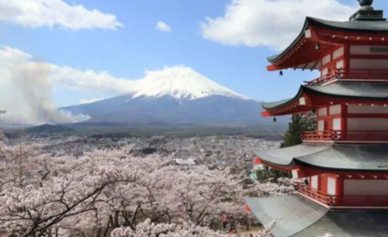 mau-comportamento-dos-turistas-leva-cidade-japonesa-a-cancelar-festival-das-cerejeiras-em-flor