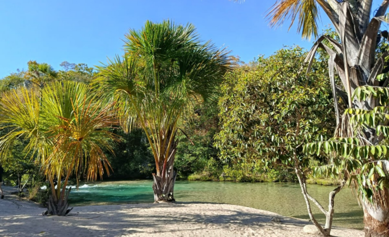 saiba-como-chegar,-quanto-custa-e-o-que-levar-para-o-oasis-no-meio-do-cerrado-no-tocantins