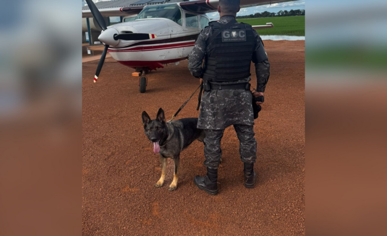piloto-e-preso-e-aviao-apreendido-no-tocantins-apos-policia-encontrar-drogas-e-folhas-de-coca