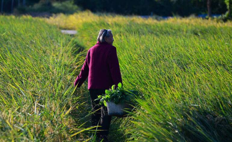 como-a-guerra-no-oriente-medio-pode-semear-a-fome