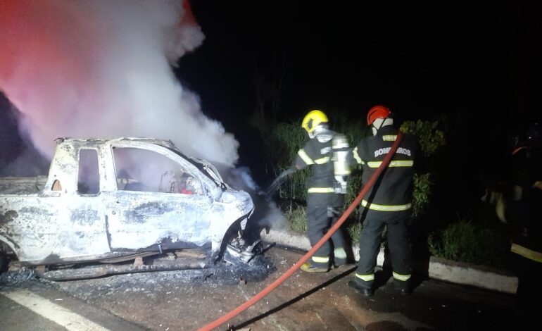 acidente-na-br-153-deixa-motorista-carbonizado