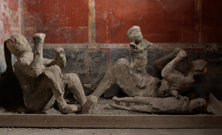 nova-exposicao-mostra-moldes-de-vitimas-de-pompeia-‘congeladas’-no-momento-da-morte