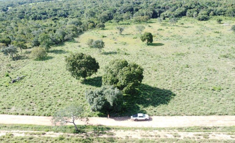 mecanico-e-avistado-por-drone-e-equipe-usa-trator-para-diminuir-pasto-na-regiao-de-buscas