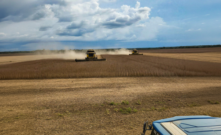 clima,-custos-e-mercado-desafiam-a-producao-agricola-no-tocantins