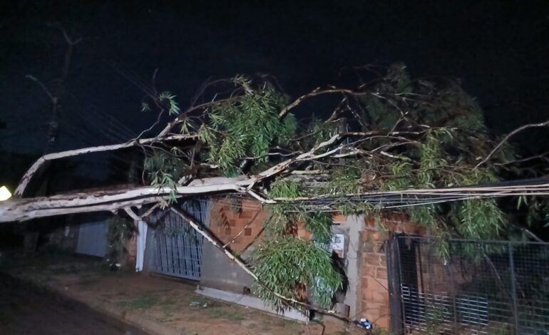 chuva-forte-durante-a-madrugada-causas-estragos-em-palmas