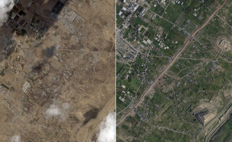 agricultores-de-gaza-buscam-ampliar-sua-producao-nos-seis-meses-de-cessar-fogo