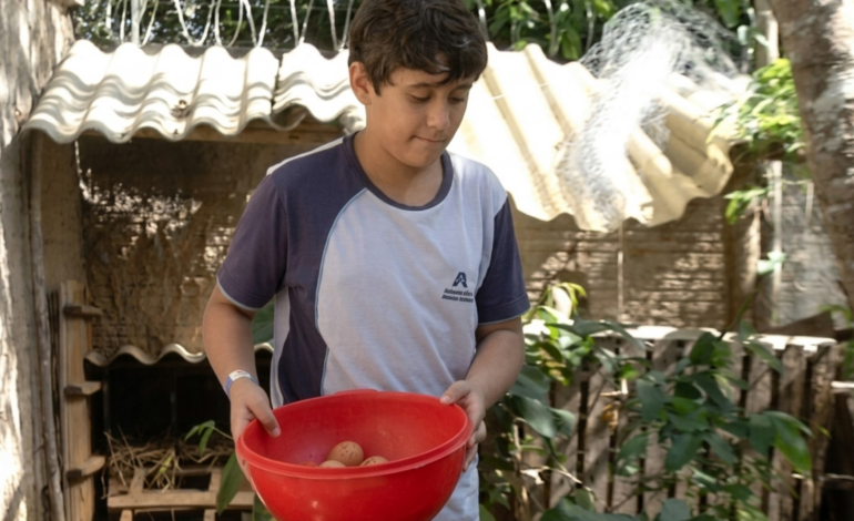 disciplina-e-empreendedorismo:-quem-e-o-menino-de-11-anos-que-aposta-na-producao-de-ovos