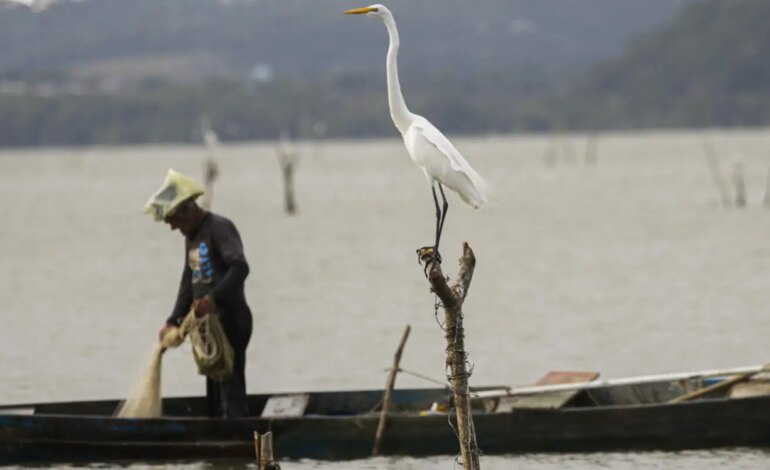 mudancas-aprovadas-para-o-seguro-defeso-previnem-fraudes,-diz-relator