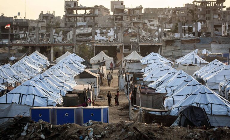 Ratos, pulgas e parasitas proliferam em abrigos em Gaza