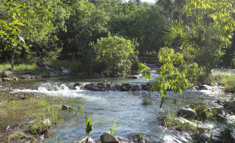 aguas-cristalinas-e-tranquilidade:-saiba-como-chegar-ao-‘caribe-do-cerrado’-no-to