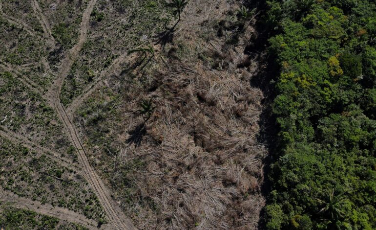 desmatamento-na-amazonia-cai-17%-no-1o-trimestre,-mas-volta-a-subir-em-marco