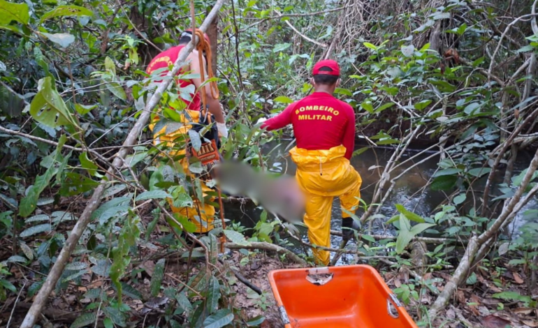 Pescadores encontram corpo em decomposição preso a galhos em rio no TO, dizem bombeiros
