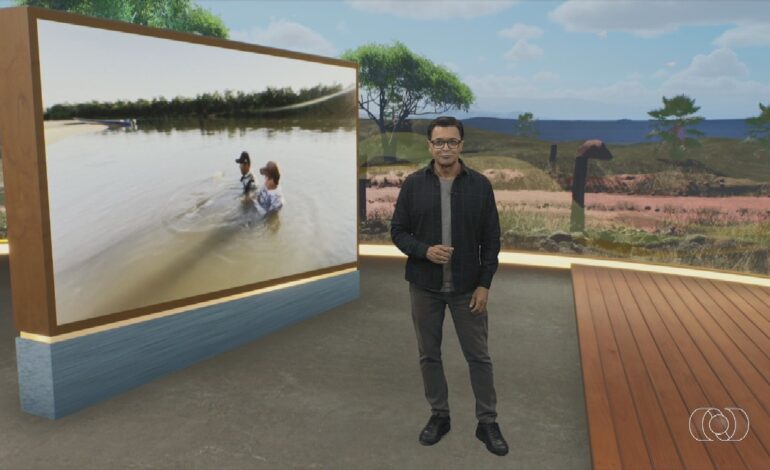 videos:-jornal-do-campo-to-deste-domingo,-10-de-maio-de-2026