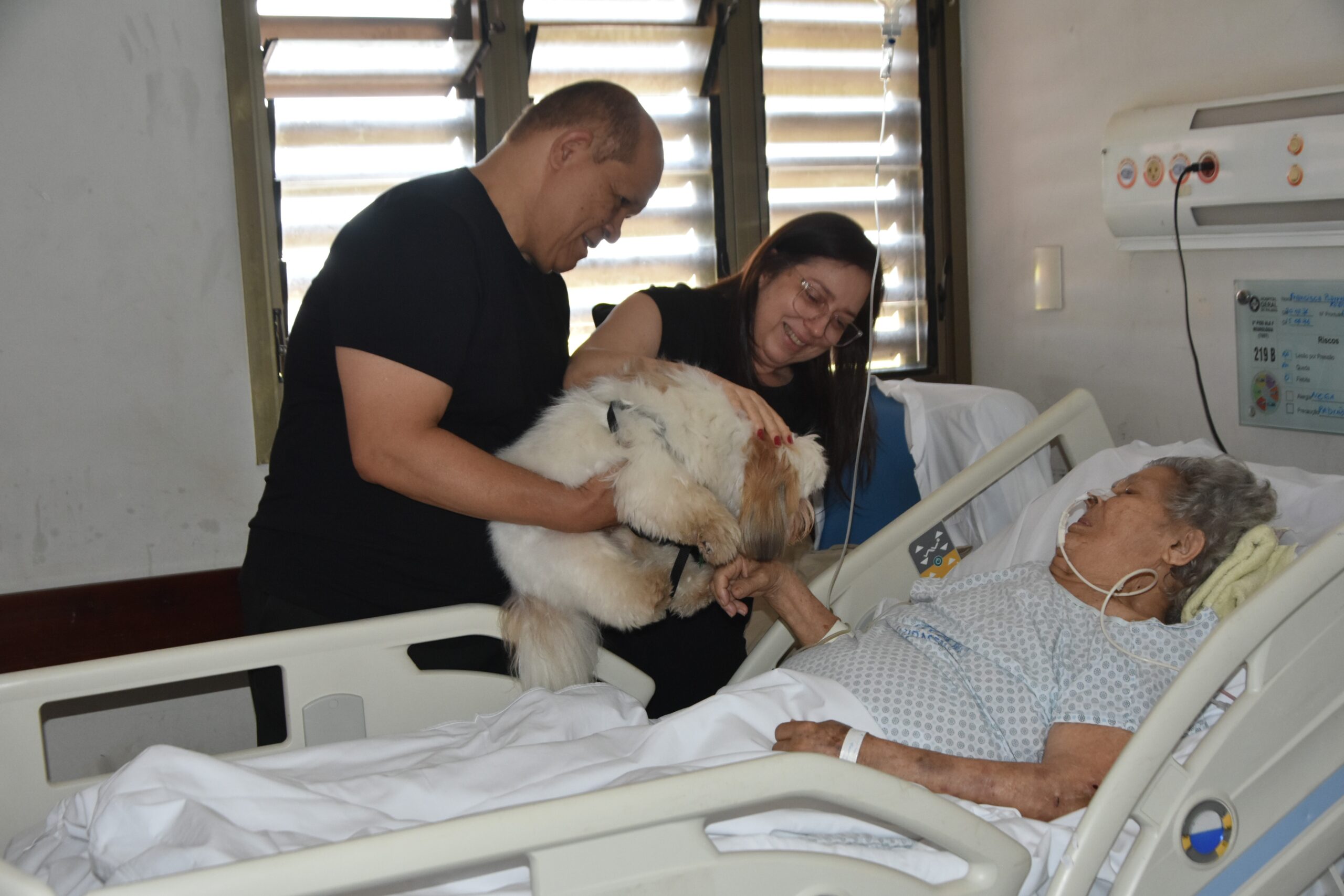 Paciente de 90 anos recebe visita emocionante do cão de estimação após ser internada por AVC: ‘Amorzinho dela’, diz nora