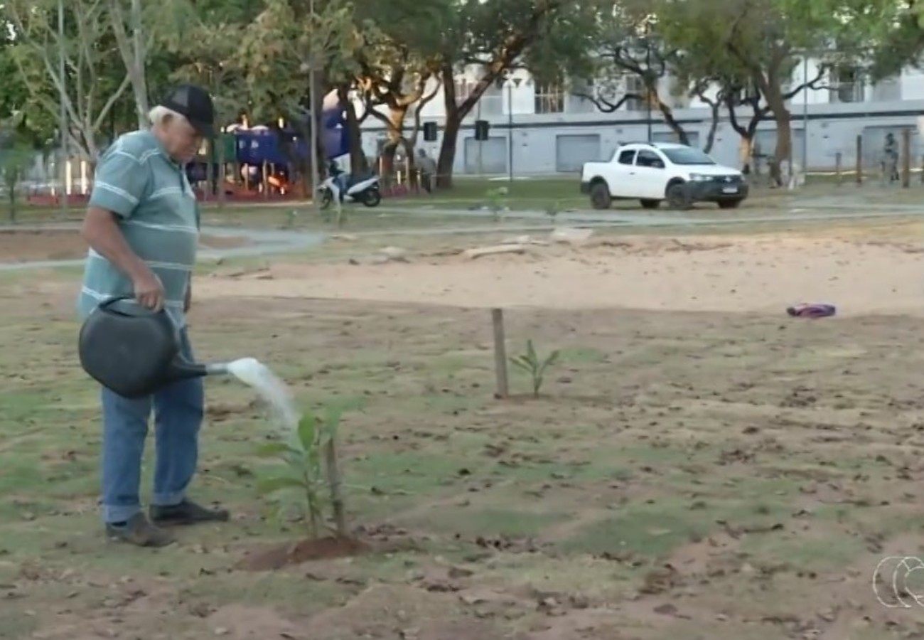 conheca-o-aposentado-que-ha-oito-anos-transforma-praca-de-palmas-com-arvores-frutiferas;-video