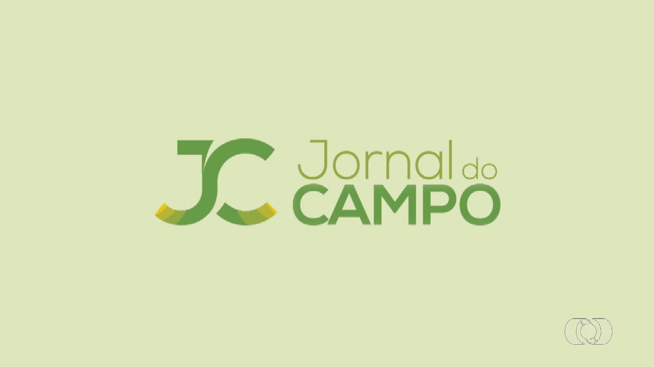 VÍDEOS: Jornal do Campo – TO de domingo, 19 de julho de 2026