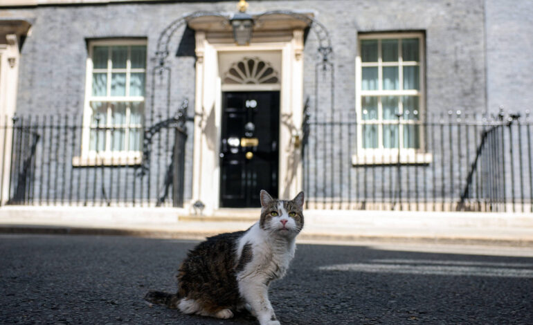 quem-e-andy-burnham-na-fila-de-larry,-gato-de-downing-street