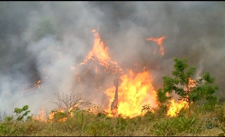tocantins-suspende-queimas-controladas-sob-risco-critico-de-incendios;-veja-o-que-muda