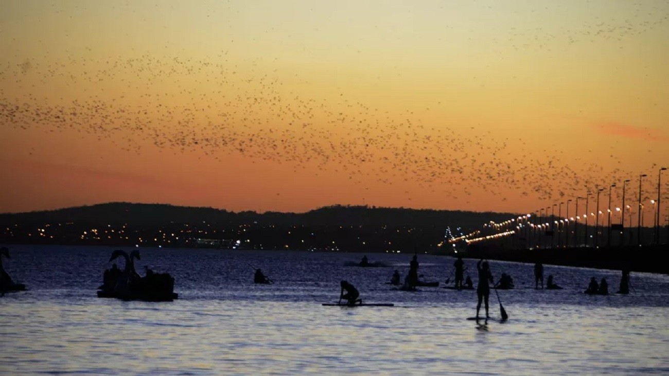 temperatura-pode-chegar-a-37°c-em-palmas-ao-longo-da-semana