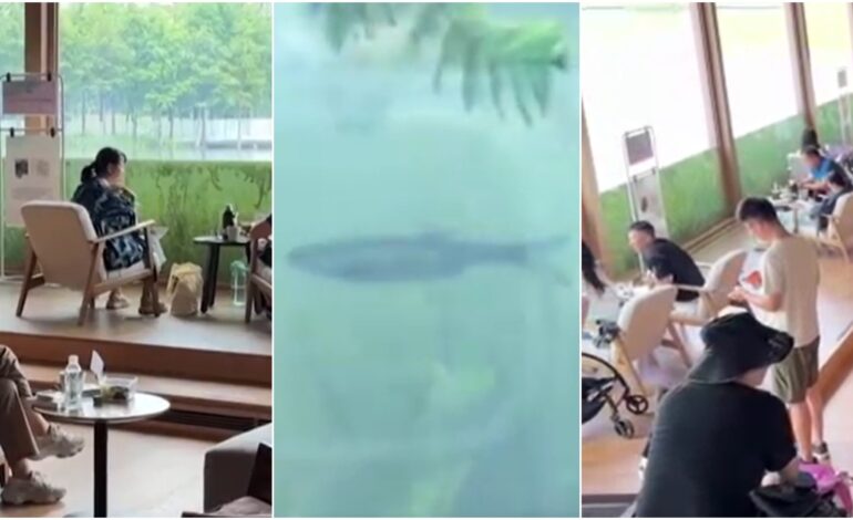 video:-livraria-‘subaquatica’-na-china-atrai-turistas-e-moradores-para-ver-fundo-de-lago