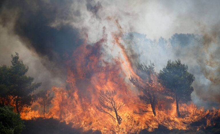 Guerras, incêndios florestais e migração pressionam Europa e expõem fragilidades