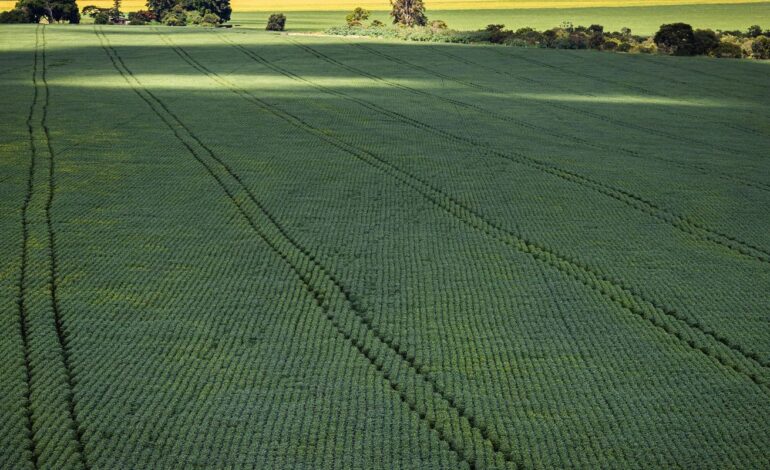 senado-aprova-plano-para-fabricacao-de-fertilizantes-no-brasil