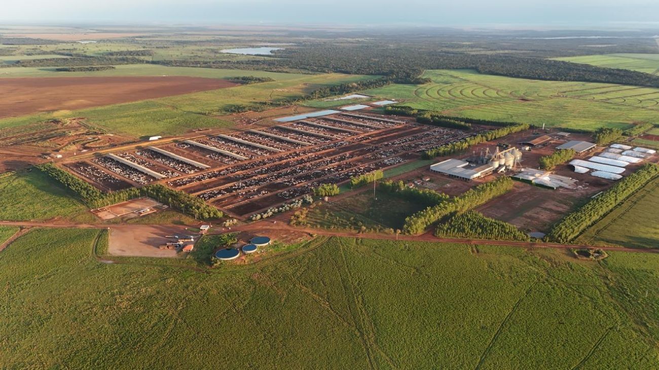 fazendas-de-confinamento-no-tocantins-tem-capacidade-para-manter-65-mil-animais-em-engorda