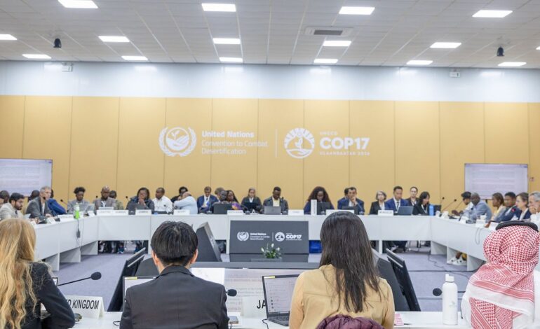 cop17-caminha-para-novo-adiamento-de-acordo-de-combate-as-secas