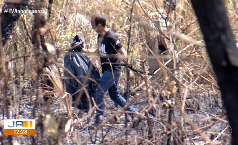 ossada-humana-e-encontrada-apos-queimada-em-area-verde-de-palmas
