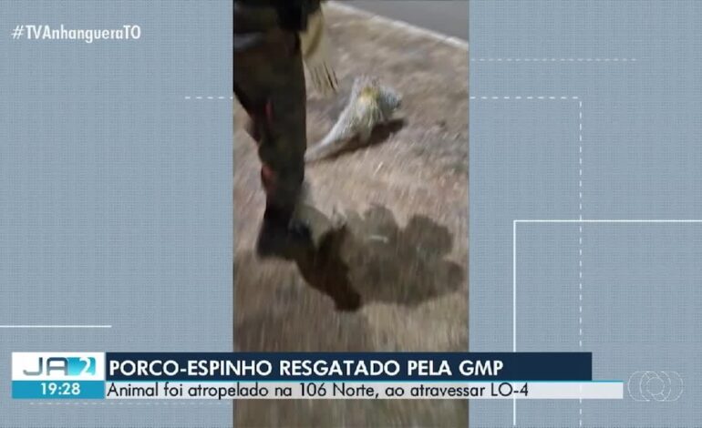 videos:-jornal-anhanguera-2a-edicao-to-de-quinta-feira,-03-de-setembro-de-2026…